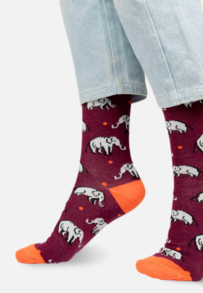 Chaussettes Elephants - Image 2
