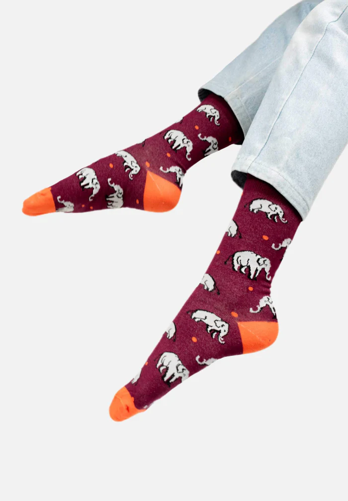 Chaussettes Elephants - Image 3