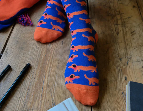 Chaussettes Teckels - Image 2