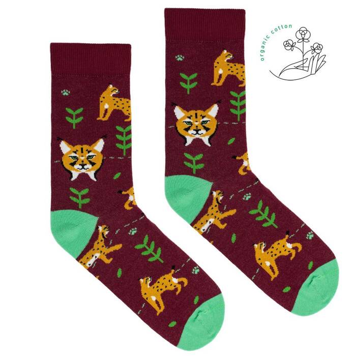 Chaussettes linx