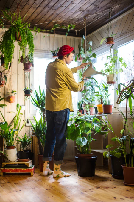 Chaussettes Plantes addict - Image 3
