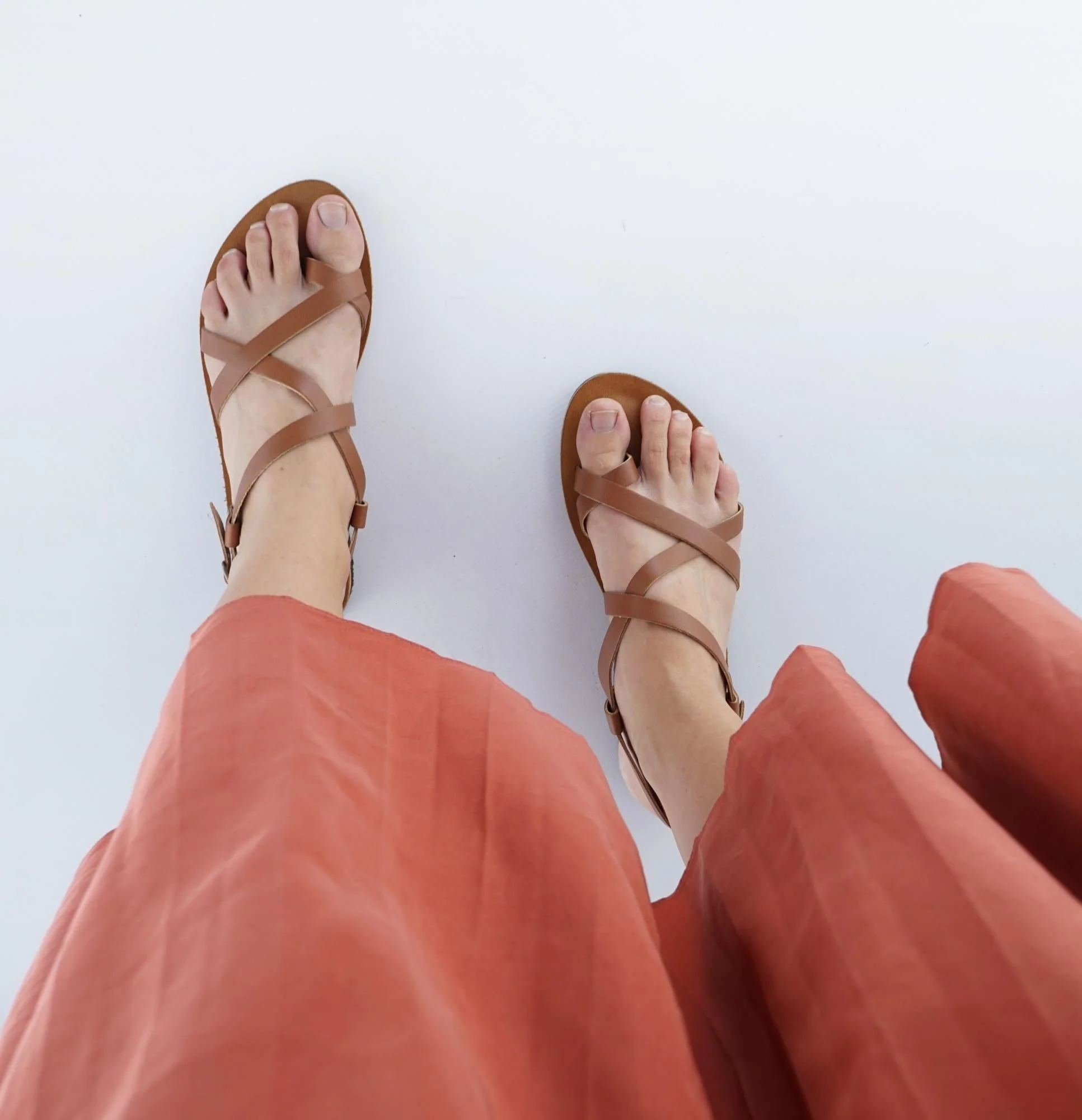 CORI camel - Image 2