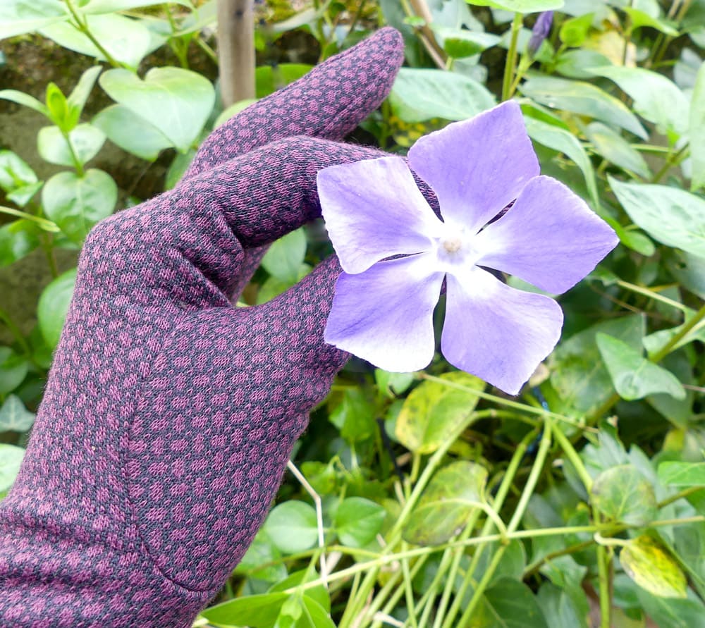 Gants motifs grains de riz - Image 2
