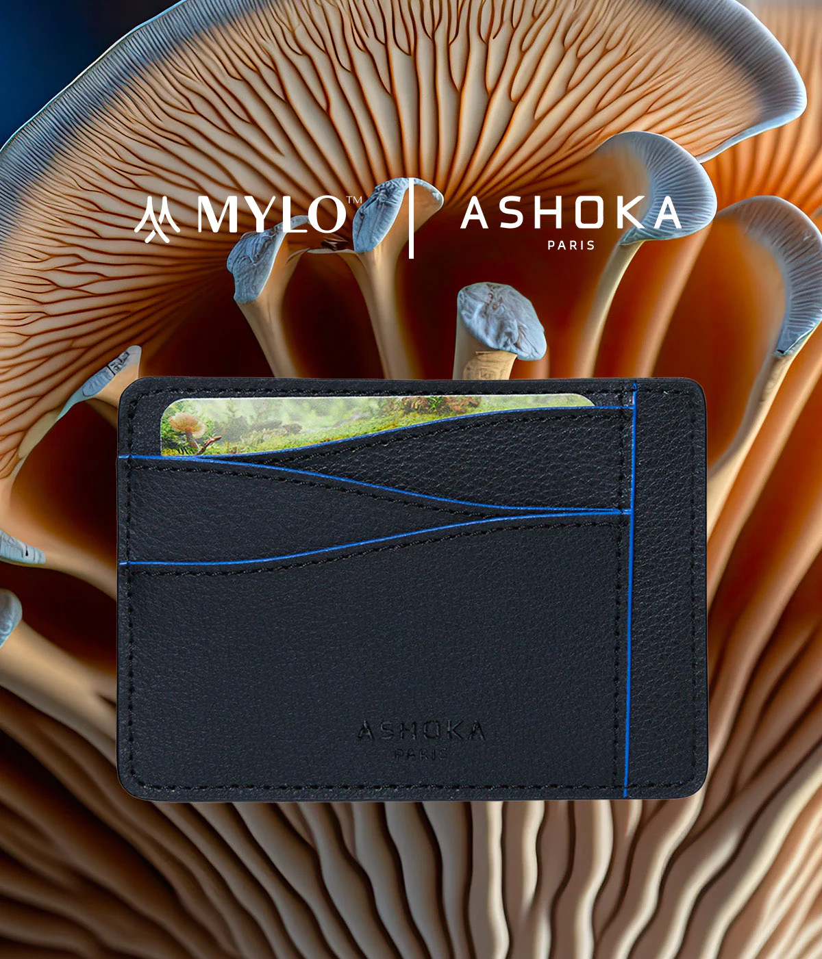Grand porte-cartes en champignon Mylo™️ bleu - Image 6
