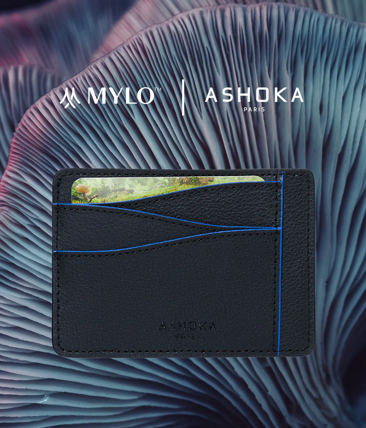 Grand porte-cartes en champignon Mylo™️ bleu - Image 7