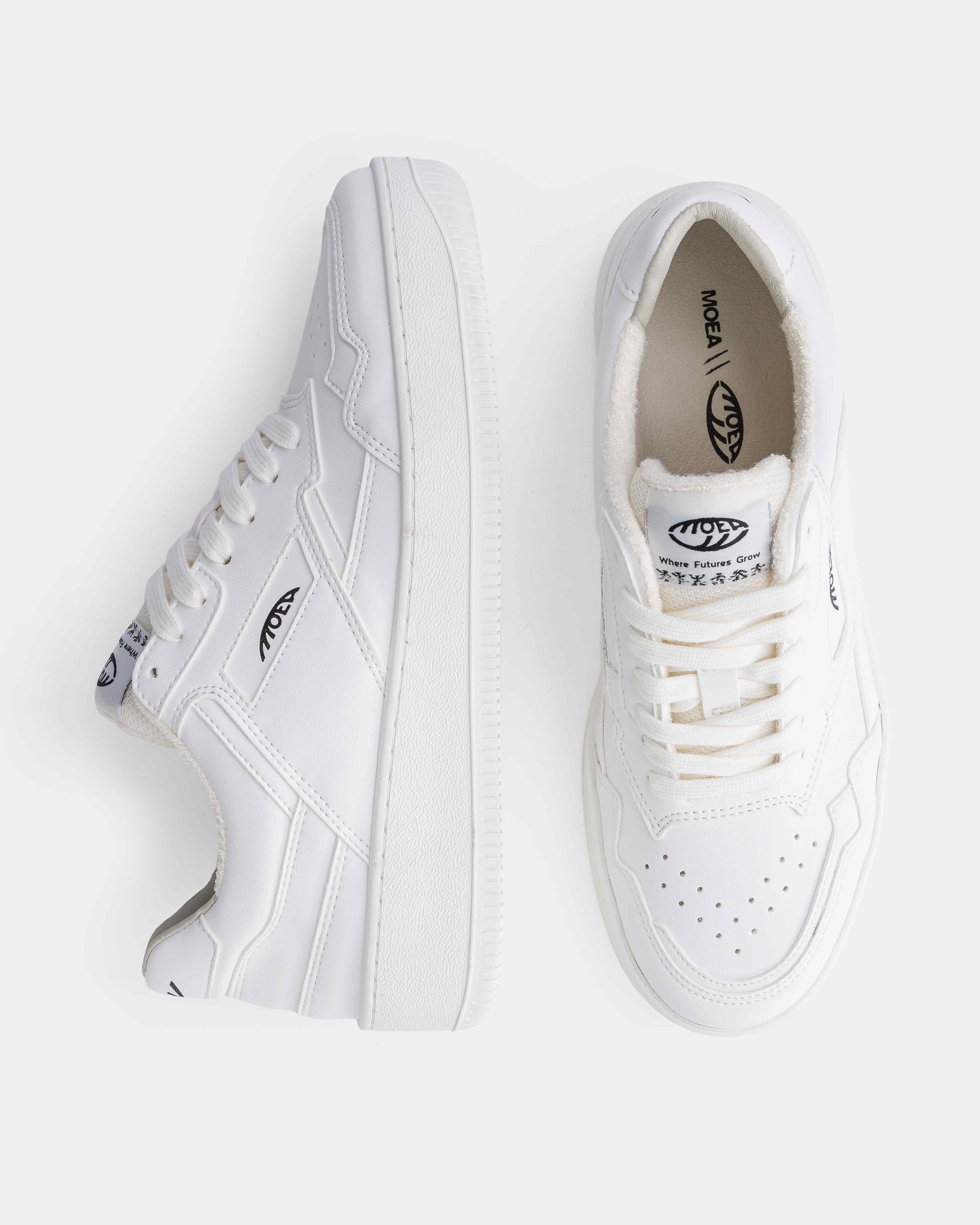 Origin - Full White - Corn - Image 2