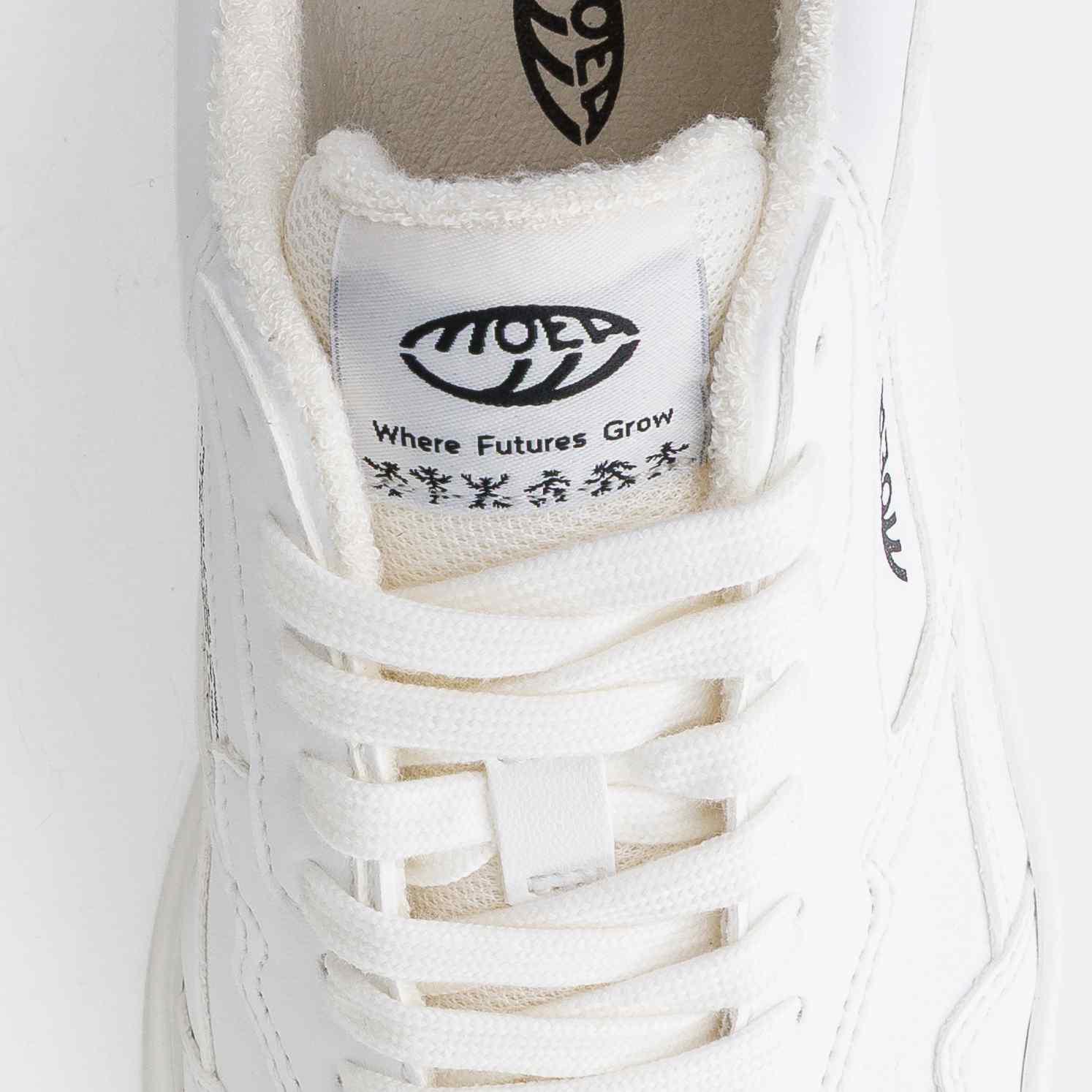 Origin - Full White - Corn - Image 3