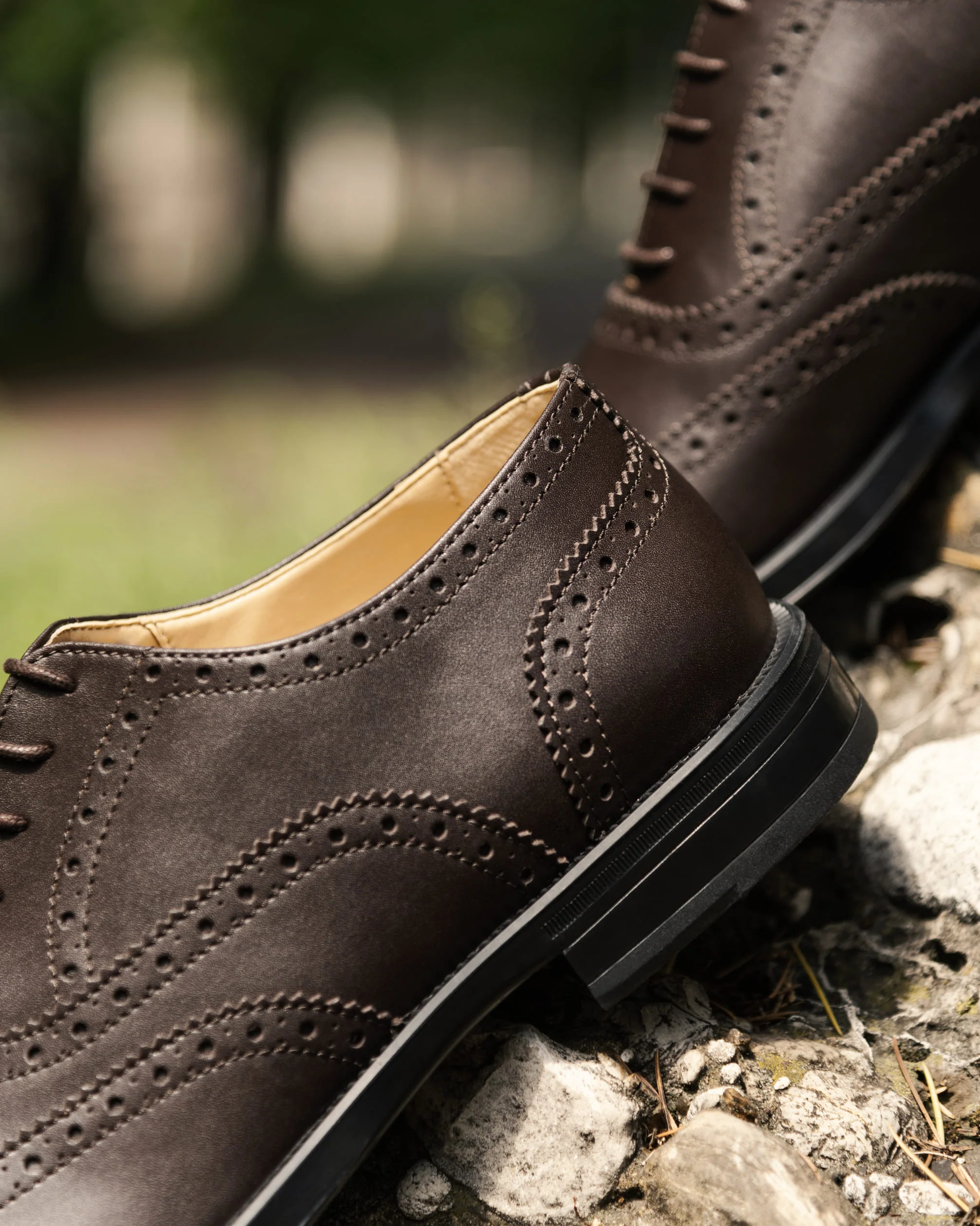 Oxford Brogue - Homme - Image 9