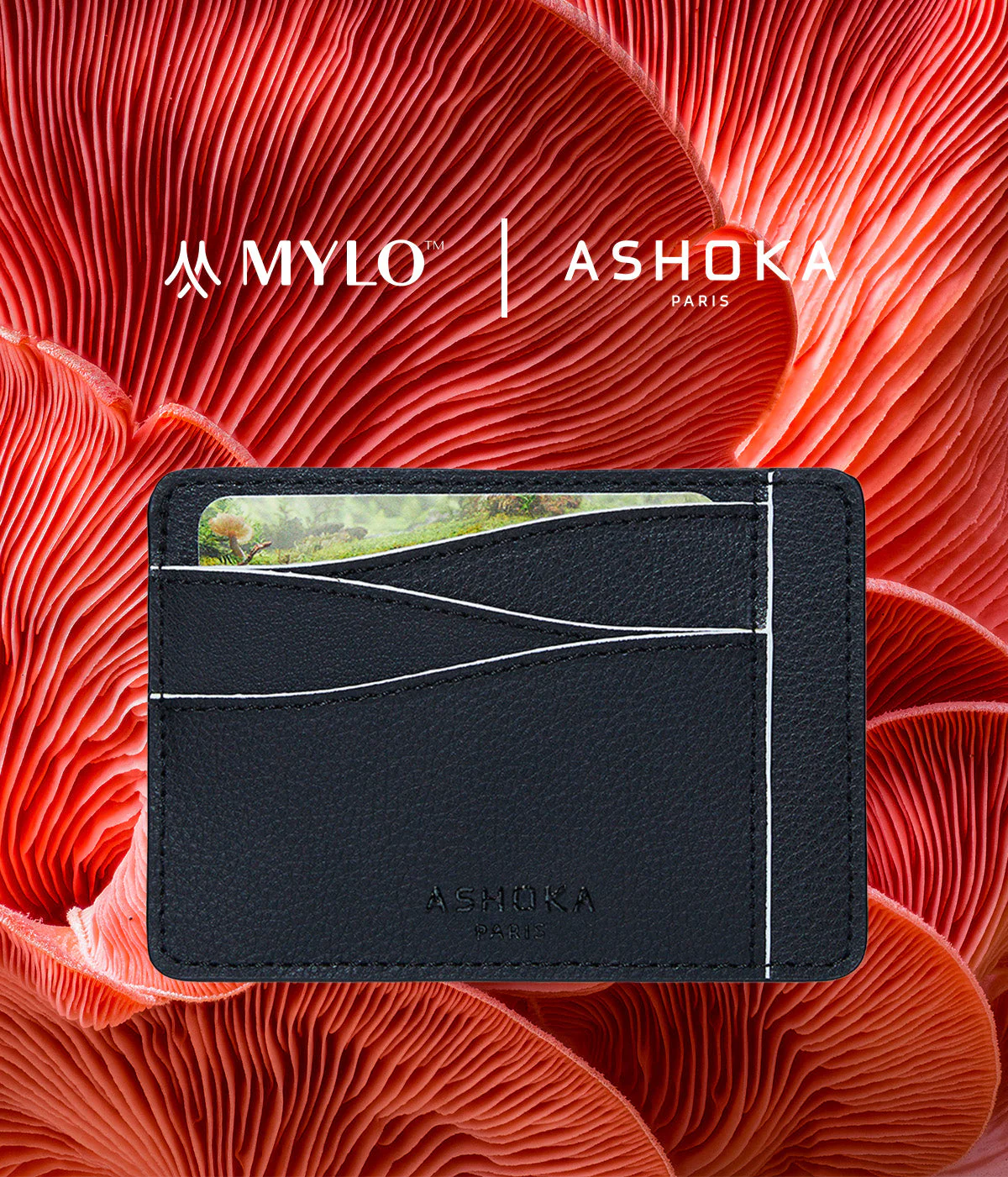 Grand porte-cartes en champignon Mylo™️ blanc - Image 10