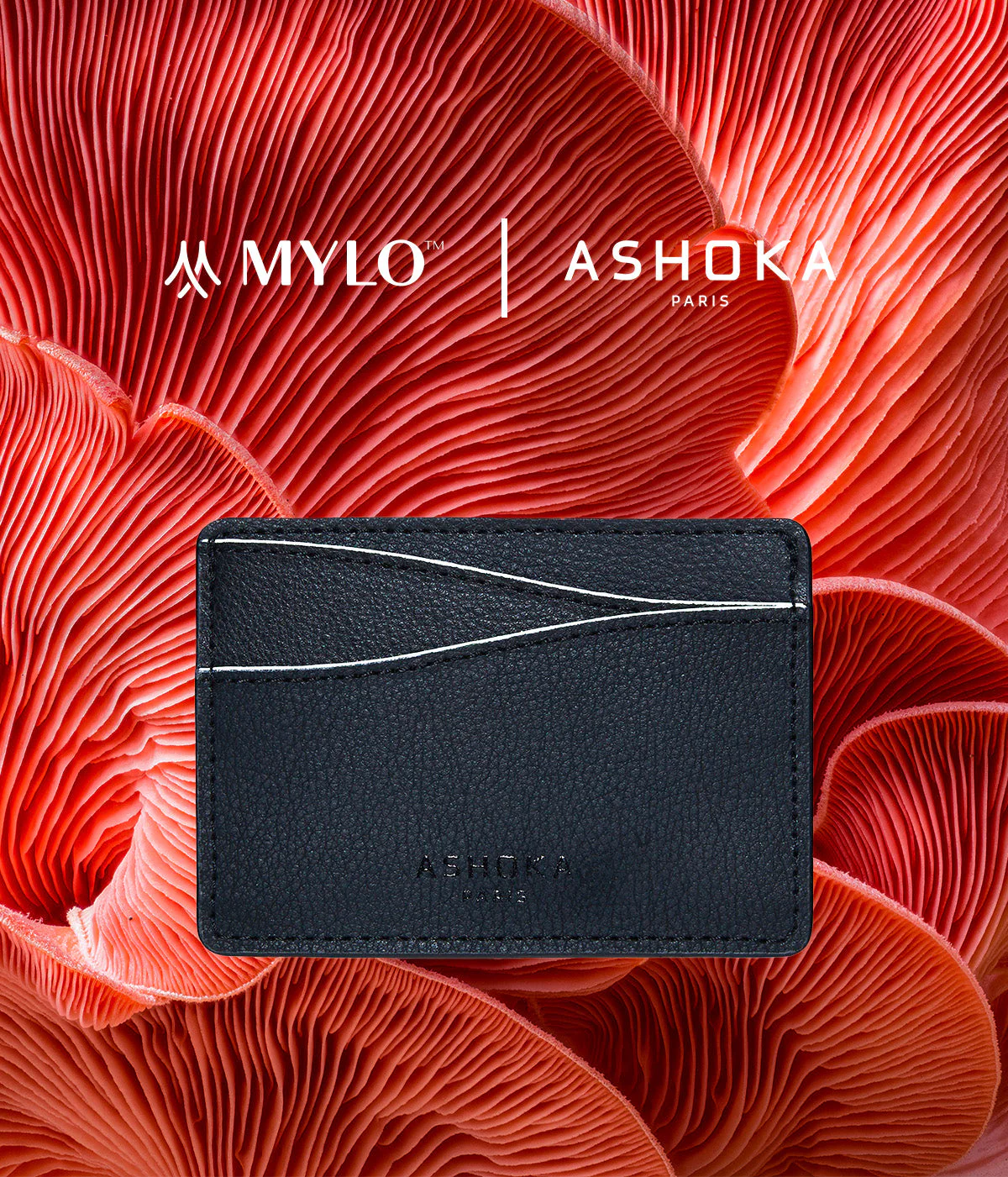 Porte-cartes en champignon Mylo™️ blanc - Image 3