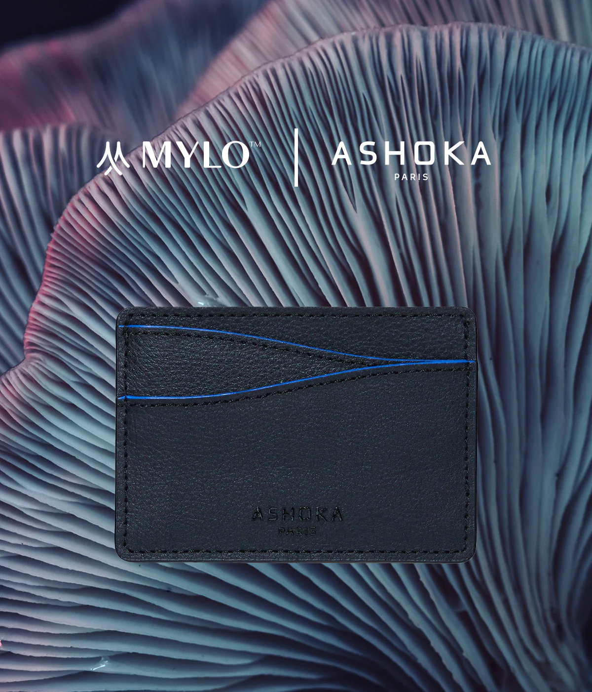 Porte-cartes en champignon Mylo™️ bleu - Image 2