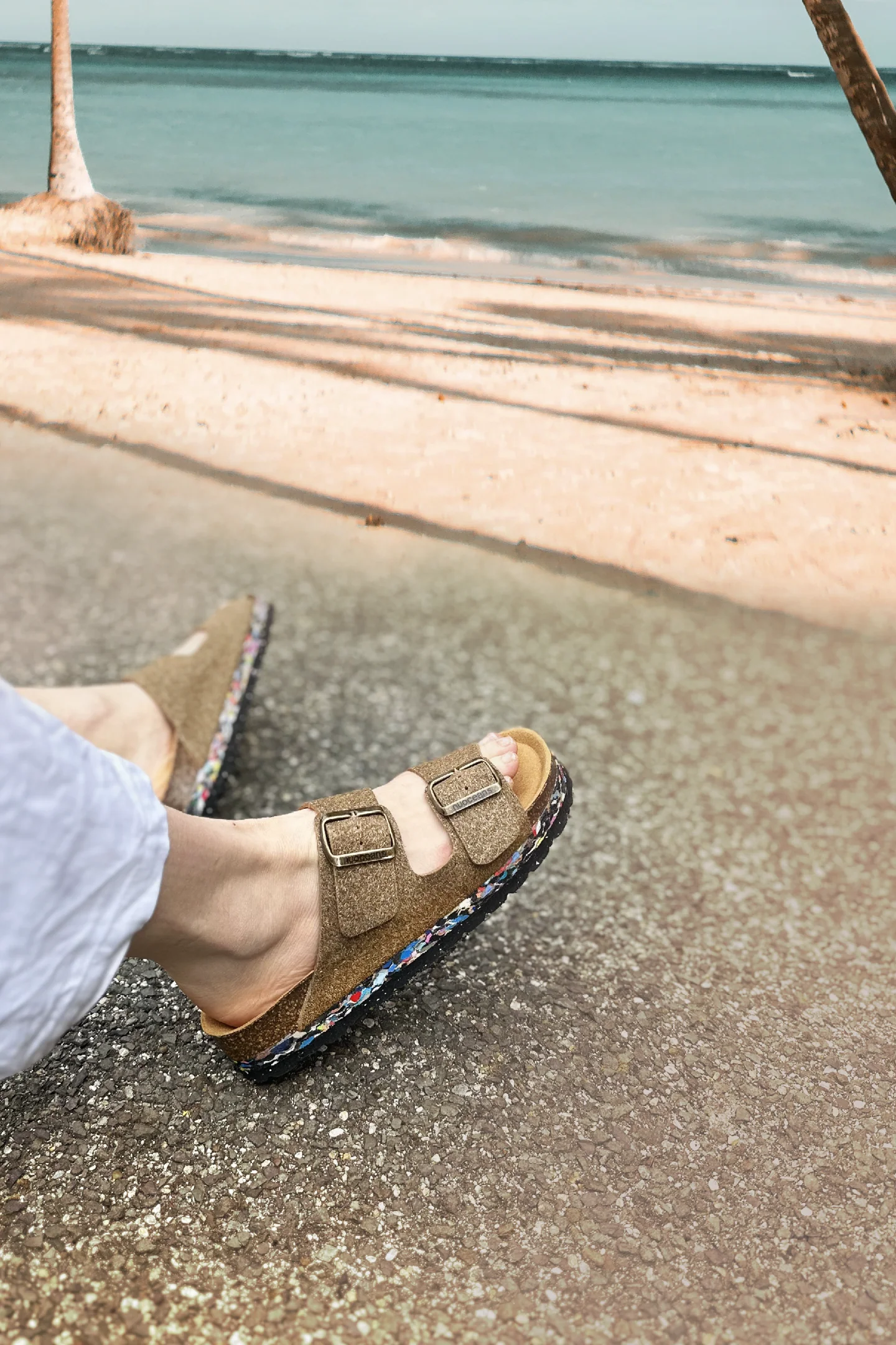 COCO | Sandal Palm - Image 7