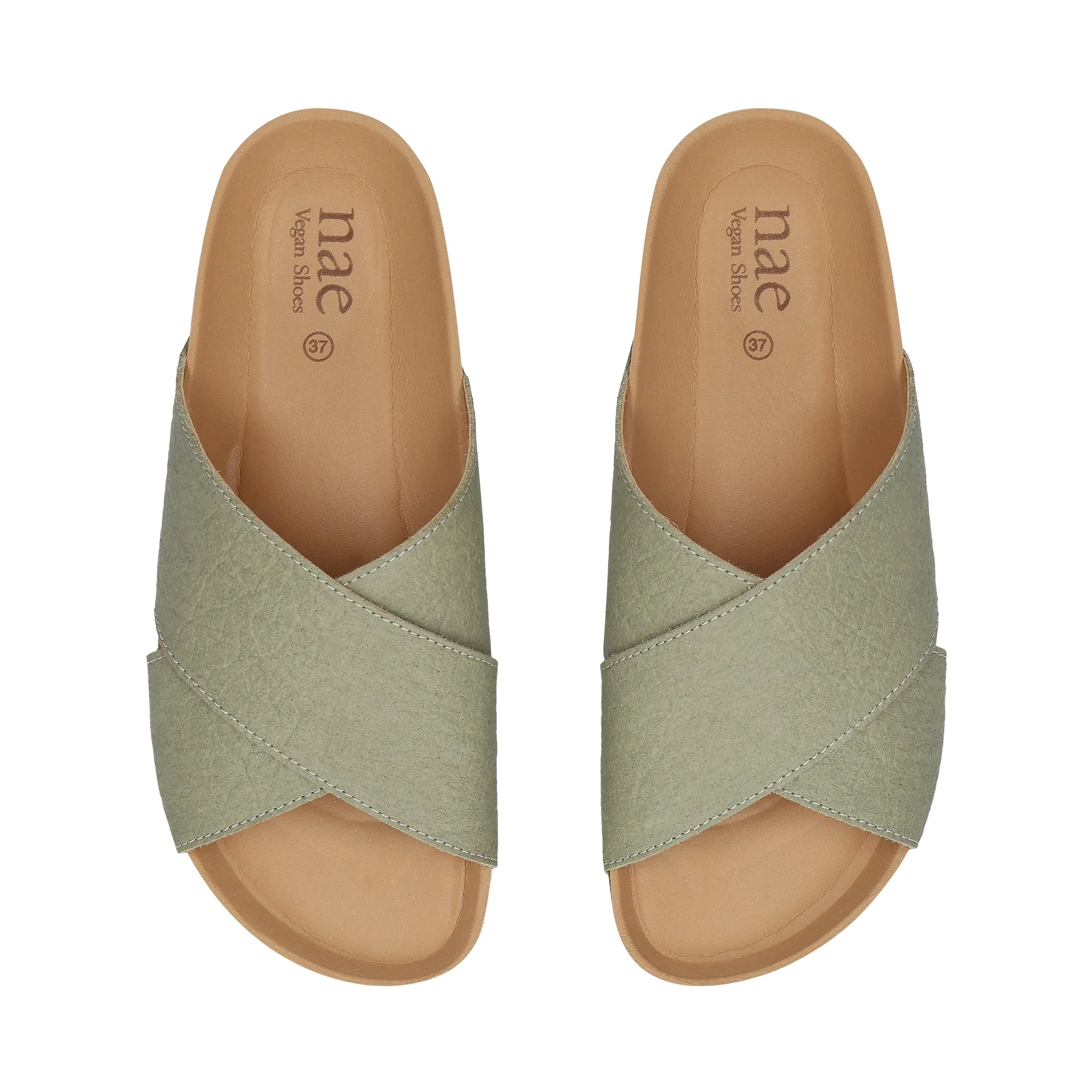 TUPAI Green - Image 5