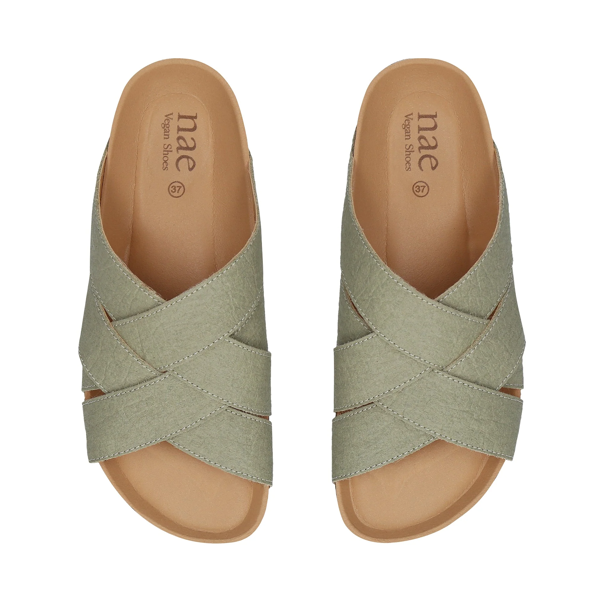 TANNA Green - Image 5